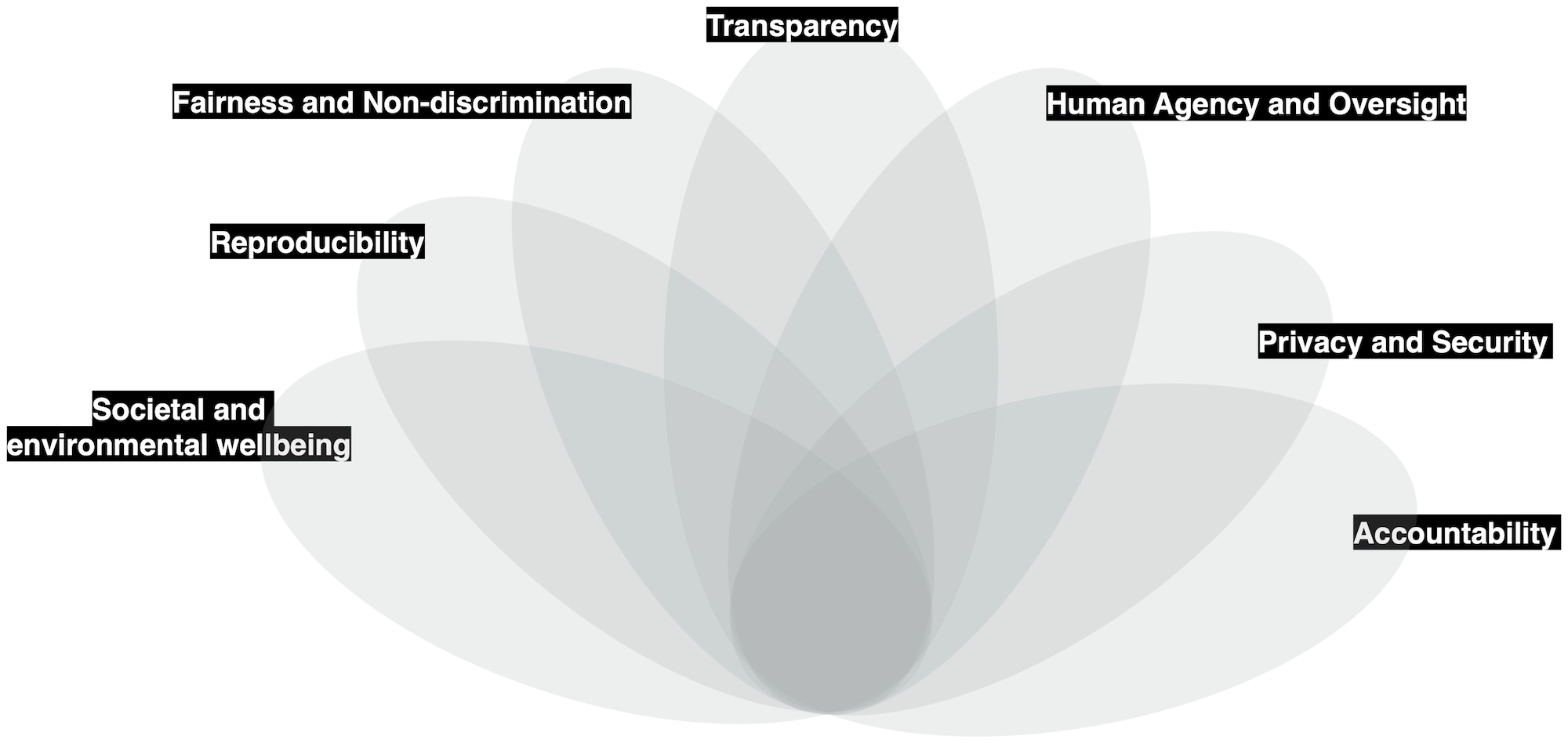 Values of Human-Centered Data Science
